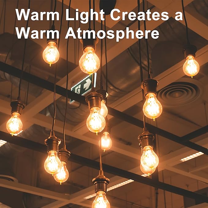 Warm Incandescent Light Bulbs 60 Watt,A19/A60 Vintage Style Edison Bulbs E26,Soft Yellow Light Bulbs,Amber Bulbs,Retro Light Bulb Old Fashioned,Halogen Dimmable Edison Bulb Squirrel Cage 12 Pack