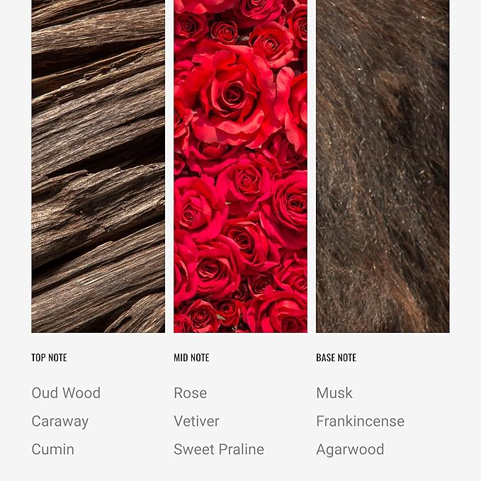 Desert Rose Reed Diffuser Set,Luxury Hotel Inspired Home Diffuser, Lasting 4 Month Longevity, 100mL