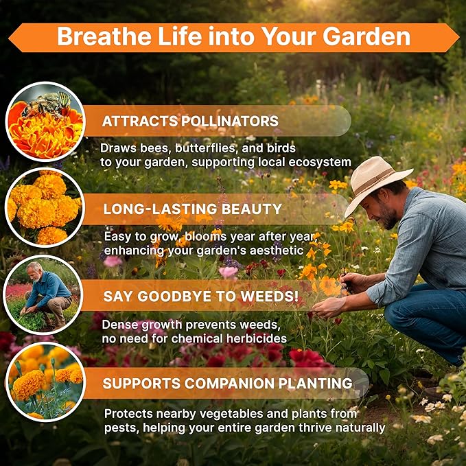 Marigold Seeds Pack 4 oz - Over 37,000 Non-GMO Heirloom Marigold Seeds for Planting Indoor & Outdoor Gardening, Flower Seed for Planting Home and Garden, Flowers Seed in Individual Packet