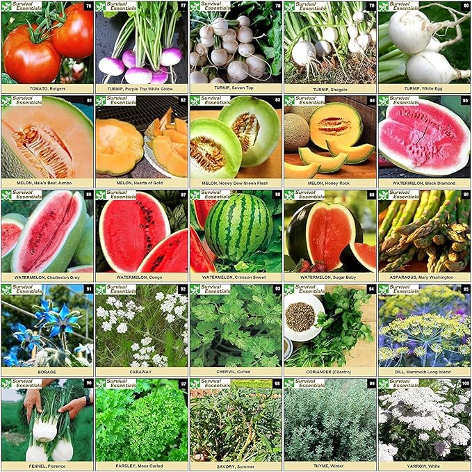 Garden Heirloom Seed Vault, 100 Variety, Over 17,500 Vegetable, Fruit, and Herbs Seeds, Non-GMO, Non-Hybrid, Plus Free Microgreens Kit